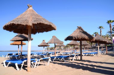 Güzel Playa del Camison Playa de las Americas'da Tenerife, İspanya