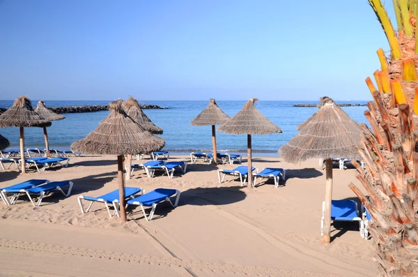 Hermosa Playa del Camison en Playa de las Americas en Tenerife, España —  Fotos de Stock