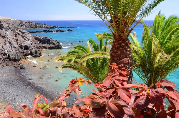 Schilderachtige strand en vulkanisch gesteente in Alcala op Tenerife, Spanje — Stockfoto