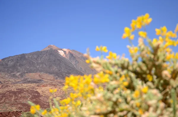 Picturesque landscape of teide national park on tenerife, spain — Stock Photo, Image