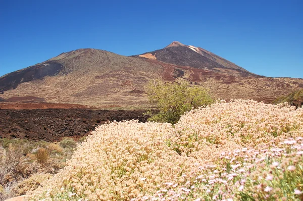 Pittoresco paesaggio del parco nazionale teide su tenerife, Spagna — Foto Stock