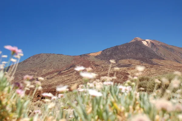 Picturesque landscape of teide national park on tenerife, spain — Stock Photo, Image