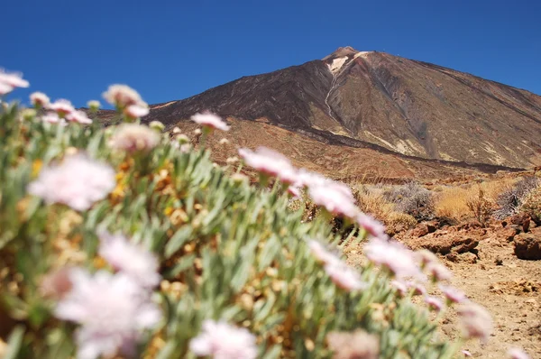 Festői táj, a teide nemzeti park, Tenerife, Spanyolország — Stock Fotó