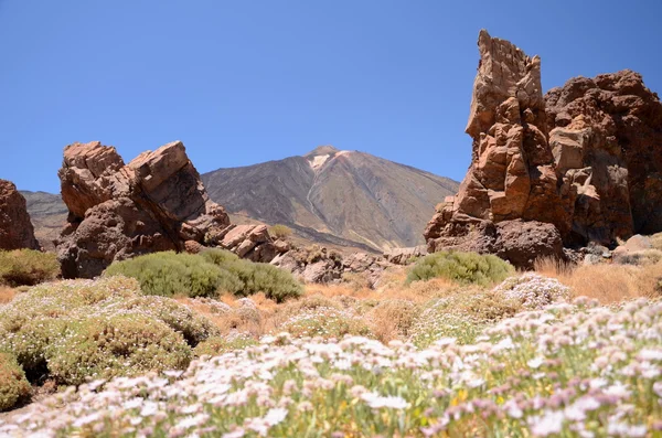 Pittoresco paesaggio del parco nazionale teide su tenerife, Spagna — Foto Stock