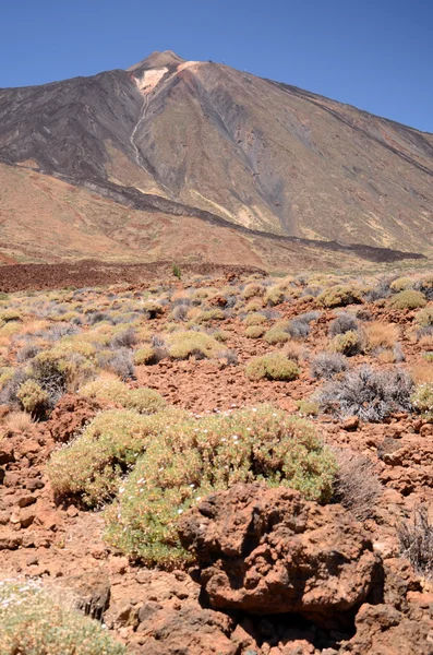 Festői táj, a teide nemzeti park, Tenerife, Spanyolország — Stock Fotó