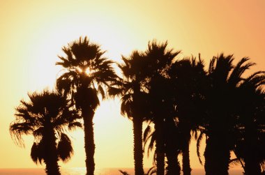 Pitoresk ve huysuz günbatımı Güney tenerife, Kanarya Adaları üzerinde