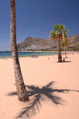 pitoresk muhteşem playa de las Teresitas İspanya Tenerife adasında