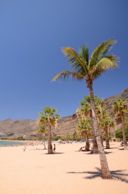 pitoresk muhteşem playa de las Teresitas İspanya Tenerife adasında