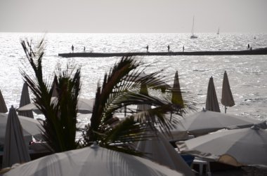 Muhteşem sahil Costa Adeje içinde Güney Tenerife İspanya