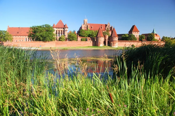 Pintoresca escena del castillo de Malbork en el río Nogat en Polonia — Foto de Stock