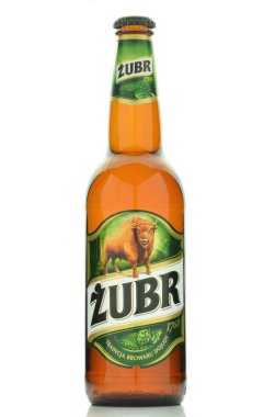 Zubr lager bira beyaz arka plan üzerinde izole
