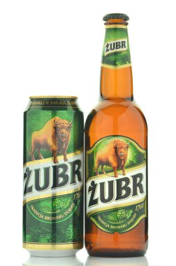 Zubr lager bira beyaz arka plan üzerinde izole