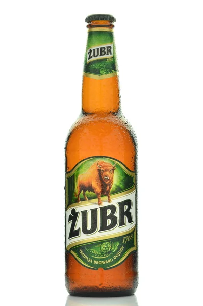Cerveza Zubr lager aislada sobre fondo blanco —  Fotos de Stock