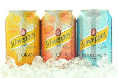 Schweppes içki buz küpleri bidon