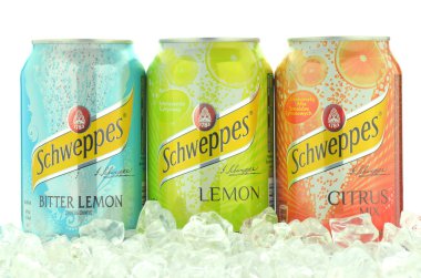 Schweppes içki buz küpleri bidon
