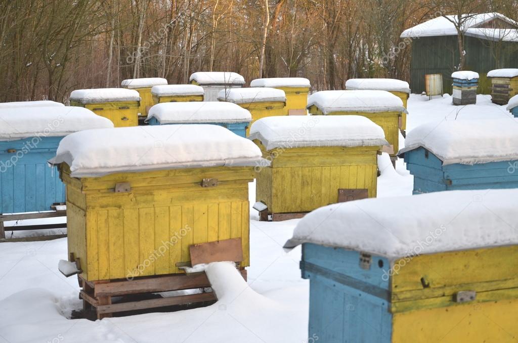 Beehives in apiary covered with snow in wintertime