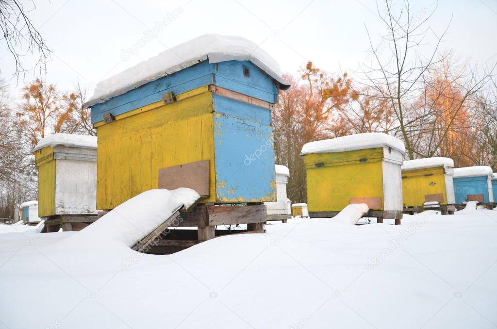 Beehives in apiary covered with snow in wintertime