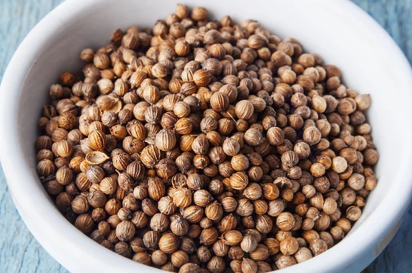 Coriander Seeds — Stock Photo, Image