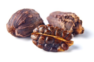 Beyaz arka plan üzerinde izole siyah kakule bakla