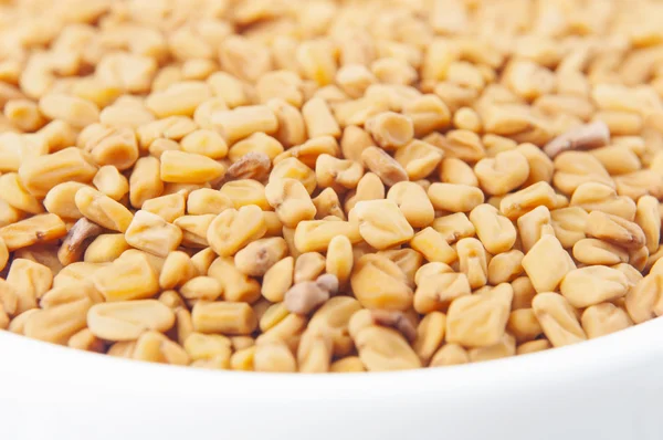 Fenugreek seeds in white bowl — Stock Photo, Image
