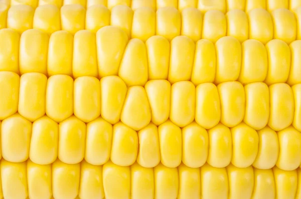 Macro de granos de maíz maduros — Foto de Stock