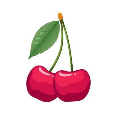 Beyaz zemin üzerinde yaprak izole kirazlar