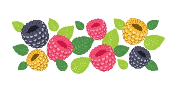 Blackberries Raspberries Yellow Raspberries Leaves Isolated White Background — Stock Vector