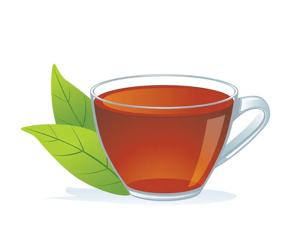 Beyaz Arka Planda Yaprağı Olan Bir Fincan Çay Cam Fincanda — Stok Vektör
