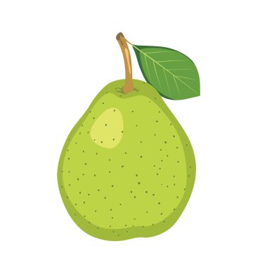 Armut yaprak beyaz zemin üzerine izole.