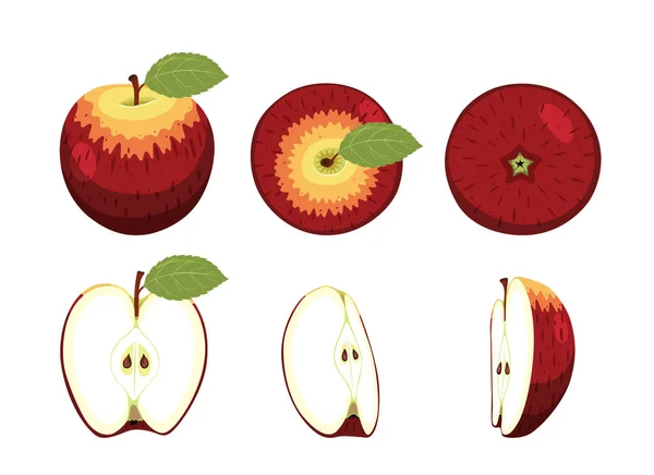 Set Von Koru Äpfeln Isoliert Auf Weißem Hintergrund — Stockvektor
