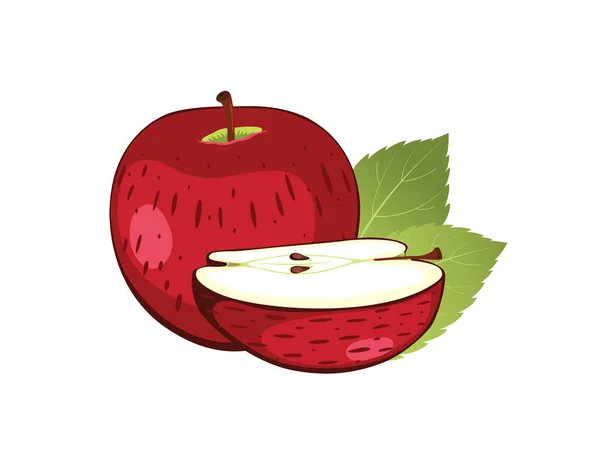 Jablko Řezem Izolované Bílém Pozadí — Stockový vektor