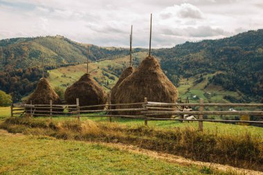 Ahşap çitleri ve samanlığı olan sonbahar manzarası 