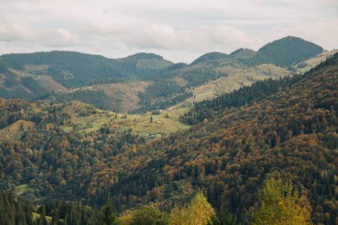 Sonbahar mevsiminde Karpat dağlarındaki geleneksel evlerin uzak manzarası, Ukrayna 