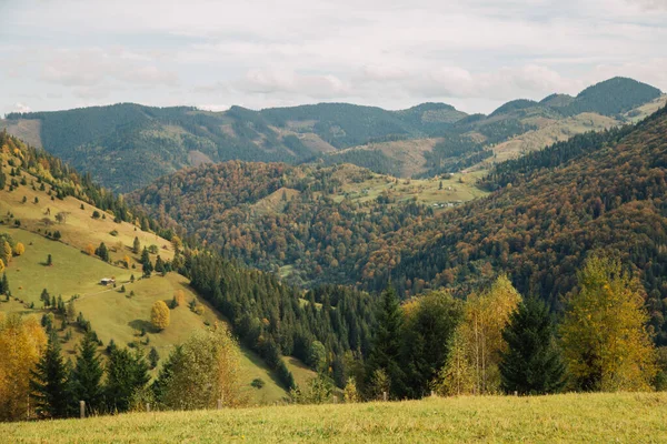 Verre Uitzicht Traditionele Huizen Karpaten Bergen Herfst Seizoen Oekraïne — Stockfoto