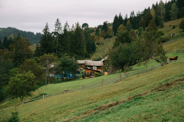 Paisagem Montanhosa Nas Montanhas Dos Cárpatos — Fotografia de Stock