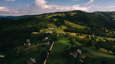 Yaz mevsiminde Karpat Dağları manzarası, Ukrayna