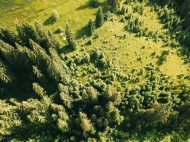 Ukrayna 'daki Karpat dağlarının hava manzarası
