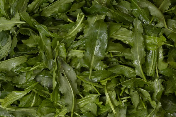 Fresh Organic Sorrel Leaves Pattern Background Salad Soup — Stock Photo, Image