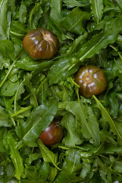Świeże Organiczne Liście Żużla Tło Sałatki Lub Zupy — Zdjęcie stockowe
