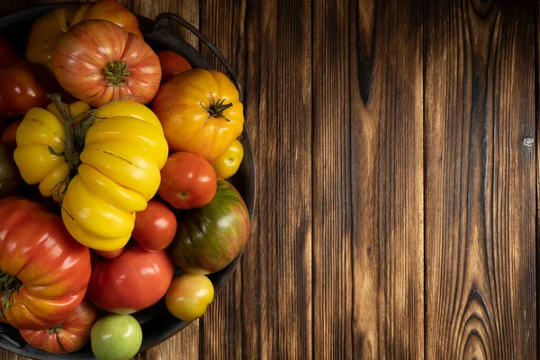 Tomates frescos em um fundo de madeira escura. A colher tomates. tecla baixa. — Fotografia de Stock