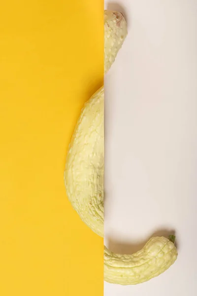 Abóboras amarelas longas com sombras. Banner elegante com abóboras no fundo amarelo vista superior — Fotografia de Stock