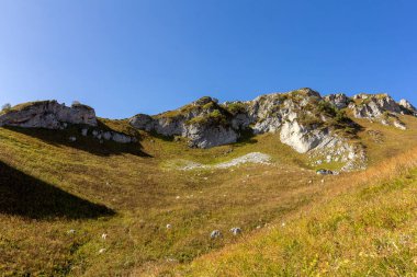 Sonbahar dağları, doğanın bağrında güneşli bir günde doğa severler ve turistler için bir yerdir..