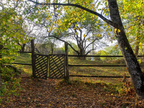 Autumn Park Old Wooden Fence Gate Rays Setting Sun — Stock Photo, Image