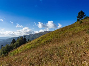 Sonbahar dağları, doğanın bağrında güneşli bir günde doğa severler ve turistler için bir yerdir..