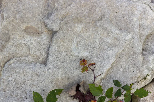Природный Камень Используемый Строительстве Ландшафтном Дизайне — стоковое фото
