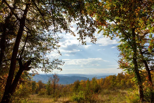 Autumn forest Park in a mountainous area on a Sunny day.