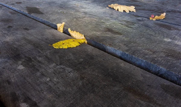 Hojas Amarillas Caídas Sobre Una Vieja Mesa Madera Parque Soleado — Foto de Stock