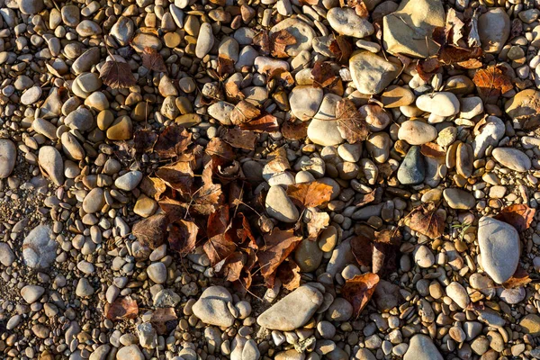 Природное Каменистое Дно Реки Мелкое Русло Реки Осенью Солнечный День — стоковое фото