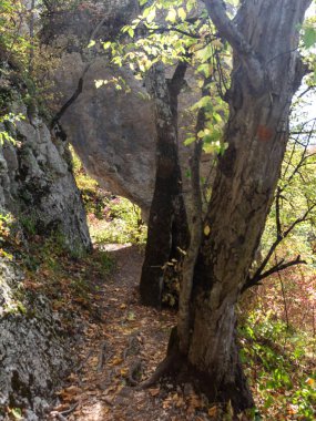 Dağlık bölge güneşli bir yaz gününde dinlenmek ve seyahat etmek için bir alandır..