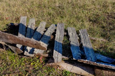 Güneşli bir sonbahar gününde bir çiftlikte eski ahşap çitler..